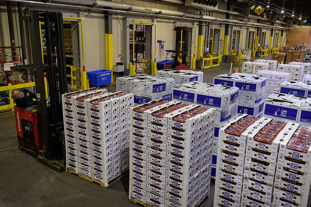 Pallets of cased goods on a loading dock